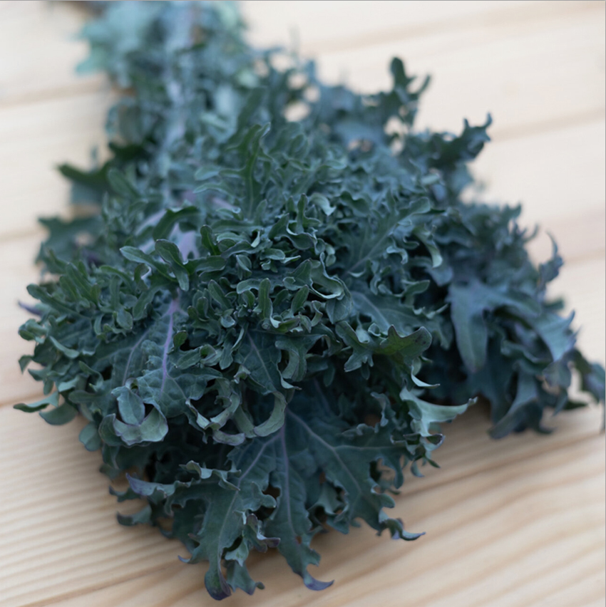 Curly kale "Siber Frill" Fringed cabbage, Капуста листовая "Сибирская кучерявая"